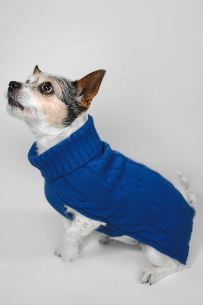 Pure Cashmere Cable Knit Dog Sweater