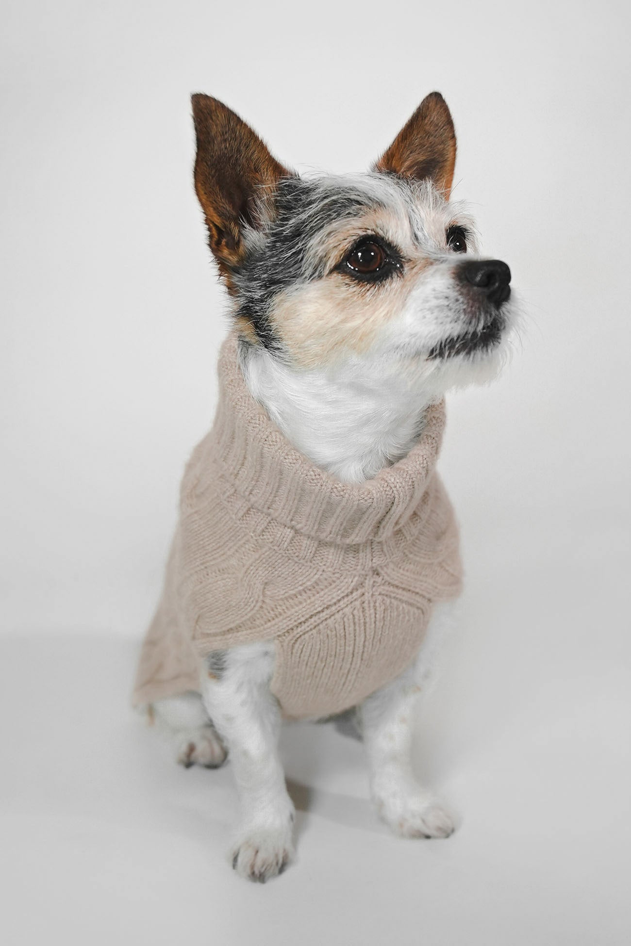 Wholesale Fashionable Dog Owner Matching Sweater Dog Sweater Pet Clothes Dog  And Human Matching Clothes From m.